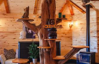 Bear Necessities Cabin, Mesa Verde Getaway - Foto 13