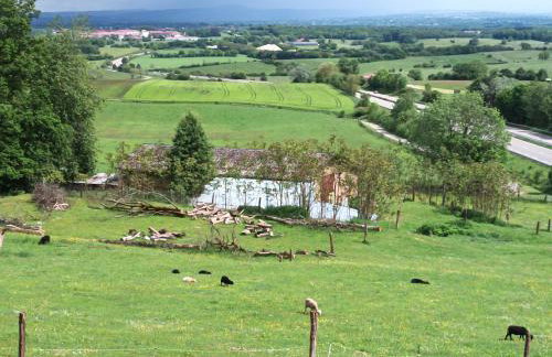 Les terrasses de la loue au domaine de Tara - Foto 11