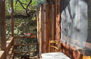 Η Χαρούμενη Αρκούδα - Foto 8