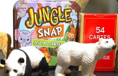 Le Troglo'Gîte, 500m à pied du Zoo de Beauval - Photo 34