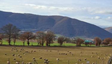 Agriturismo Le Case di Quarantotti - Foto 4