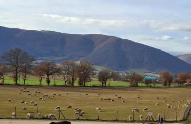 Agriturismo Le Case di Quarantotti - Foto 4