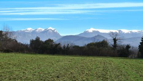 Lou Cigalou - Au Calme - Grand Jardin - Piscine Partagée - Parking - Campagne et Idéalement Situé Proche A7 et Montélimar - Foto 4