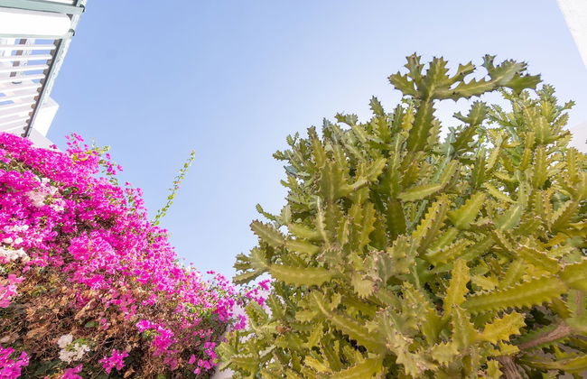 Bitácora Lanzarote Club - Photo 44