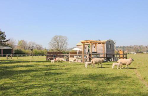 Balwen Shepherd's Hut - Foto 19