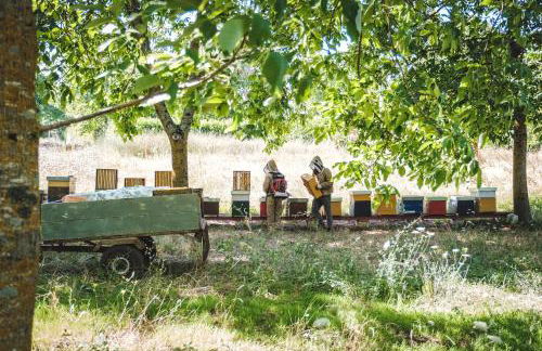 Agriturismo Bellofatto - Foto 36