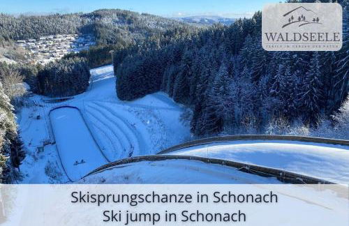 Exklusives 5-Sterne Apartment Waldseele mit Indoor-Pool, Sauna, top Lage und Ausblick in die Natur, Hunde willkommen - Foto 44