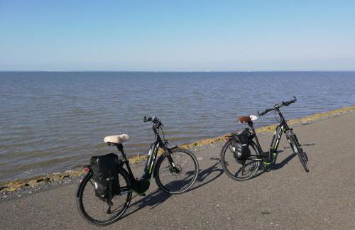 Friedeburga - Photo 35