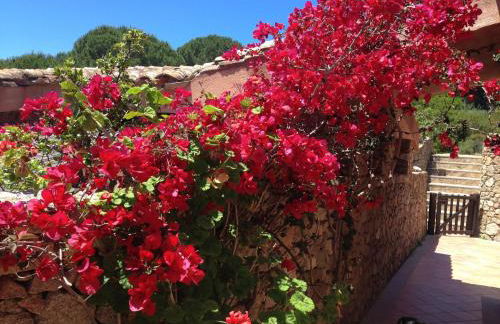 Conca Verde - Photo 36