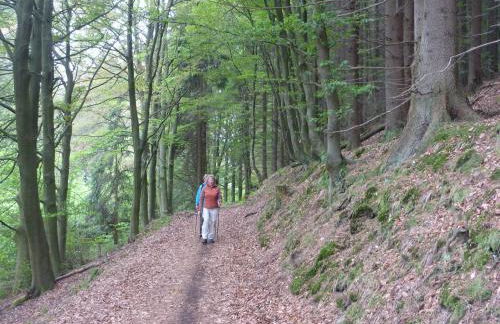 Elpe Apartments Hochsauerland - Foto 64