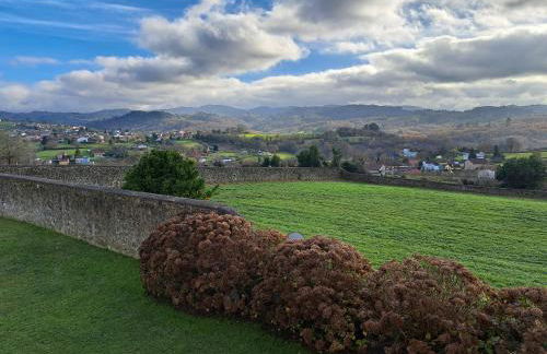 Palacio Marqués Vega de Anzo - Villa de campo sXVII - Foto 29