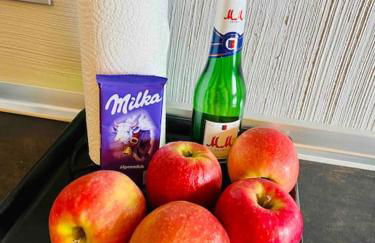 65qm Luxus Apartment mit Whirlpool Saarbrücken Uni Nähe - Foto 24