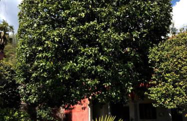 Casamariuccia - Foto 55