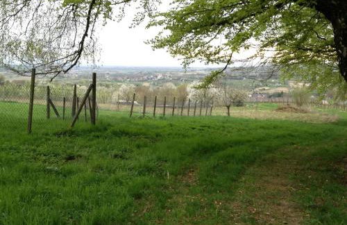 Rosenhof Broggingen - Foto 13
