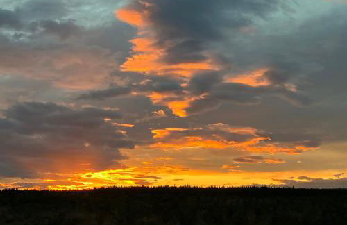 Maison en forêt, calme, proche village et piste cyclable - meublé 3 étoiles - Foto 28