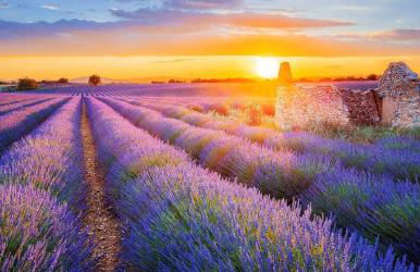 Studio du Soleil - Foto 22