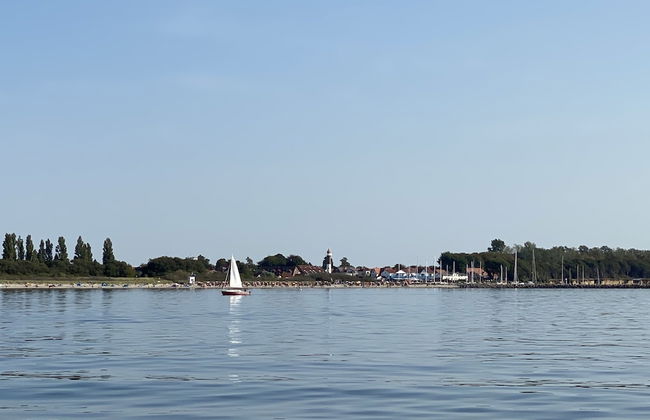 Ostseemuschel - Foto 18