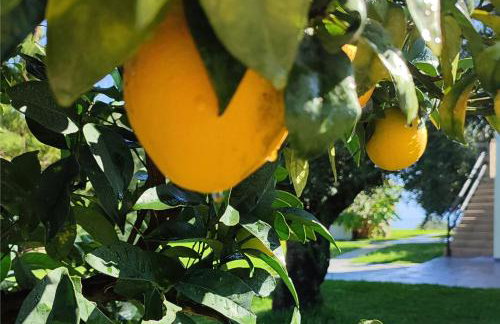 Panorama beach - Foto 64