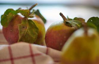Farmhouse 1604 - Das Bauernhaus eines Fischers - Foto 21