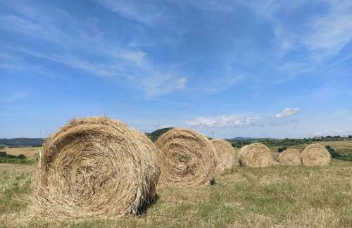 Raggio di Sole Castellina Marittima - Bilocale con piscina in Toscana - Foto 24