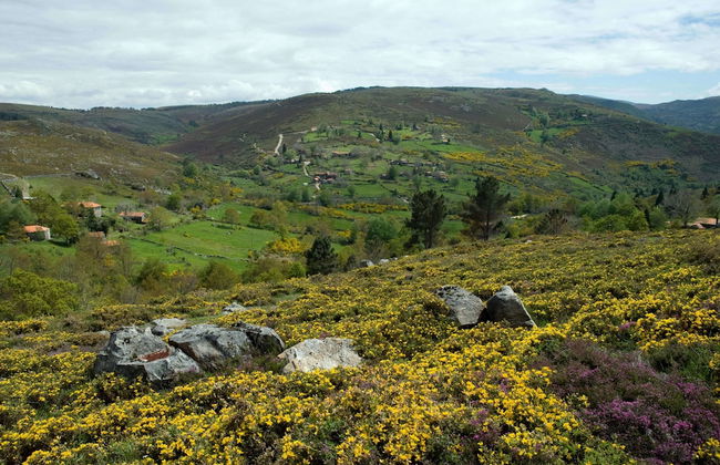 Branda da Aveleira - Foto 32