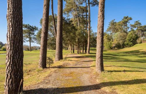 Quinta da Barca Guest House - Foto 44