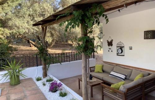 Casa Ventorro - Photo 4