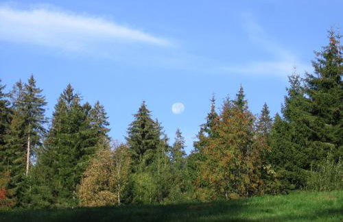 Schwarzwald-Chalet Feldberg - Foto 20