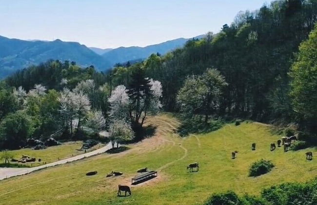 Azienda Agrituristica Lavagè - Foto 25