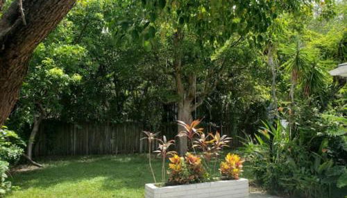 Apts with Backyard Near Fort Lauderdale Beach, Nightlife, Cruise Port, Airport - Foto 4, Garden