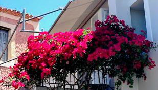 Artemis House - Foto 3