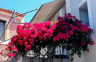 Artemis House - Photo 3