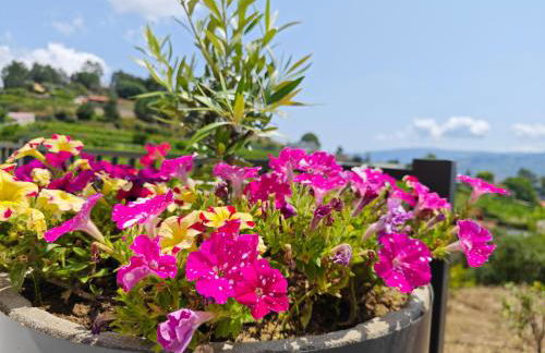 Casa da Milinha - Villa with a Pool near Rio Douro - Foto 15