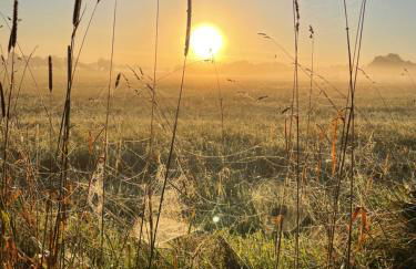 Little Cottage - Foto 50