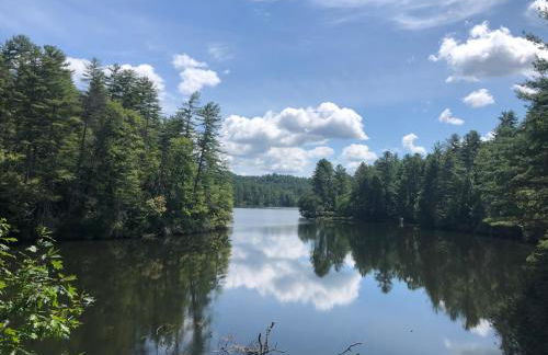 Charming Romantic Lakefront Cottage or Guest Room Depending on Availability Near Golf - Foto 45