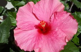 Casa di Giulia (Bambini gratis fino a 6 anni) - Foto 30