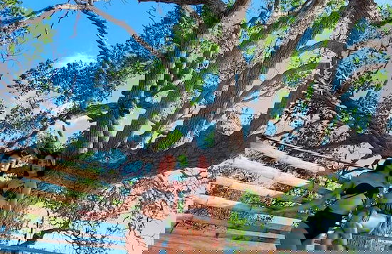 Hideaway Beach Resort - Foto 40