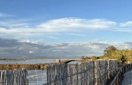 Playa del Pinet 2 - Photo 39