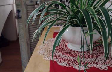 sax & rosa - Foto 23