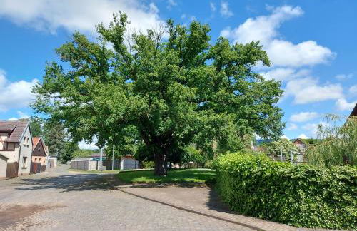 Ferienwohnung 'Frühauf' im Südharz OT Uftrungen - Foto 73
