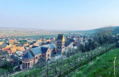 Gîte Origin Gueberschwihr - Photo 44