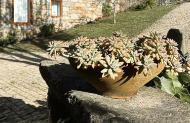 Casa das Castanhas - Cinfães, Viseu - Foto 11