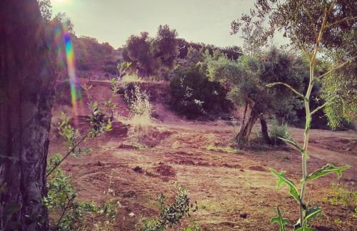 Les Valletes - Foto 68