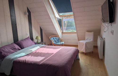 Grande maison familiale proche La Mine d'or - Foto 19