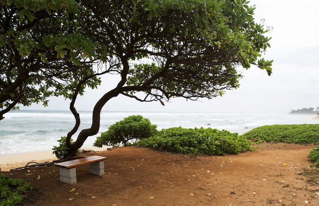 Kauai Beach Villas - Foto 42