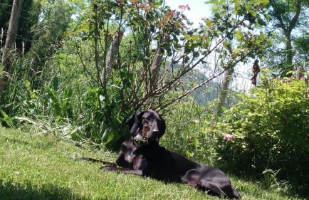 Casa Di Cinti - Foto 23