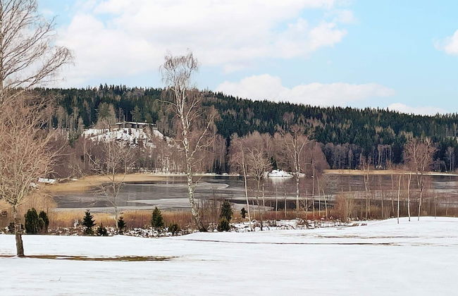 4 Person Holiday Home in Aneby-by Traum - Foto 28