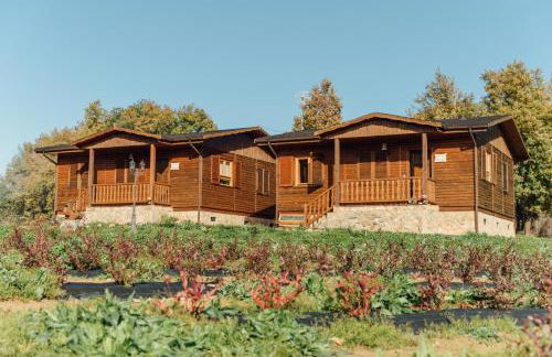 Alojamiento Turístico La alegría de la huerta - Foto 19