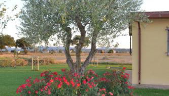 Il casale di famiglia - Foto 5