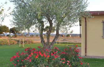 Il casale di famiglia - Foto 5